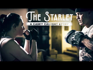 the starlet: a casey calvert story/casey calvert, derrick pierce [puretaboo] daddy small tits big ass milf
