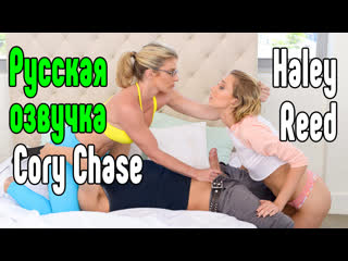 cory chase, haley reed big tits big ass milf small tits